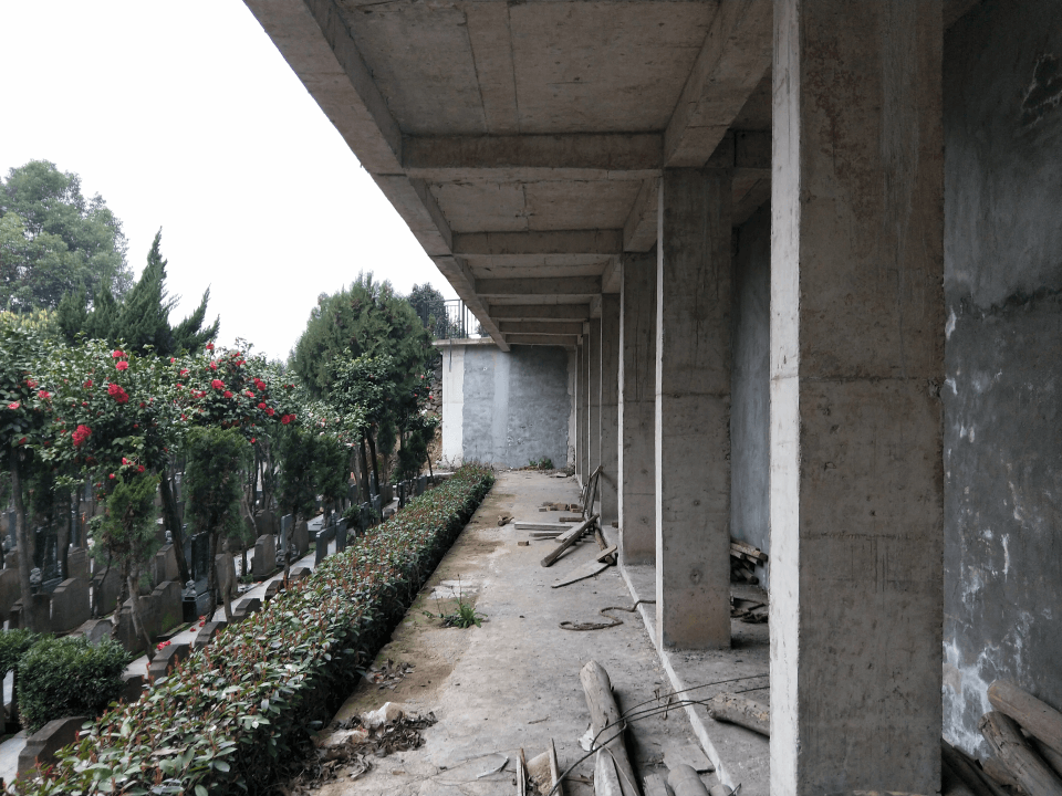 首页-人生就是博