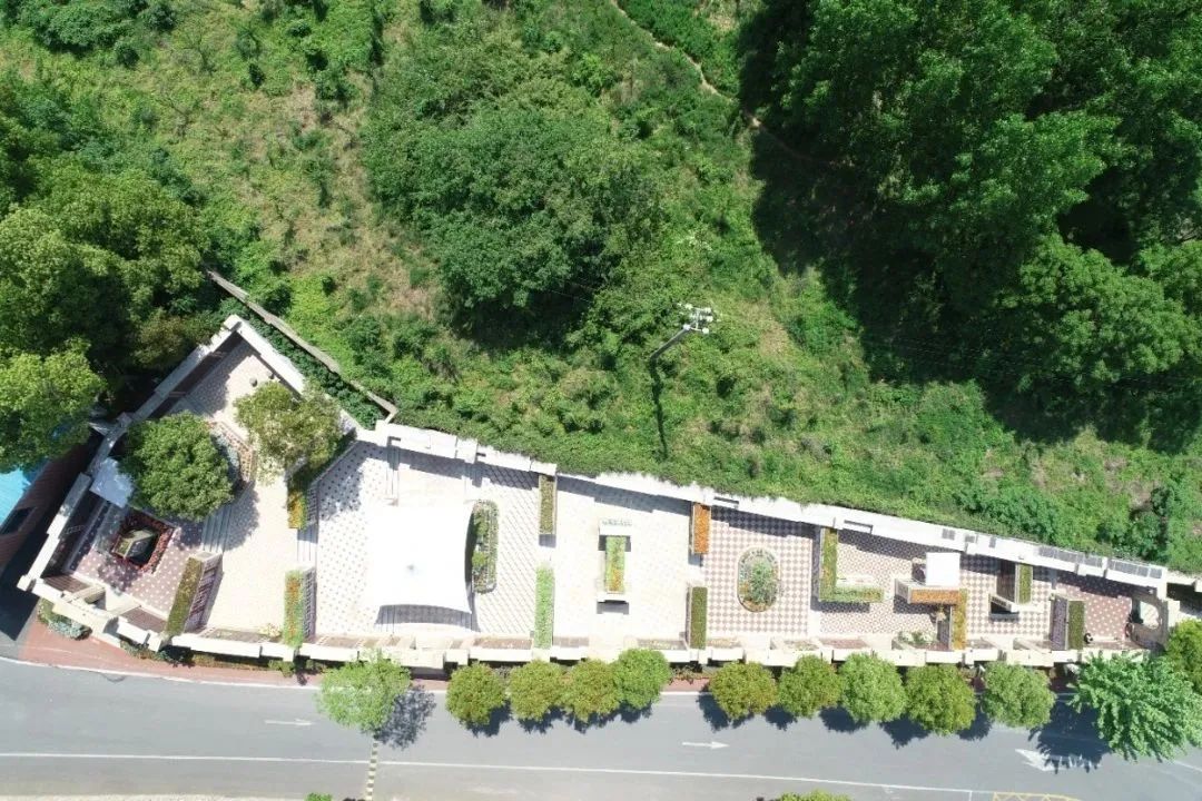 首页-人生就是博