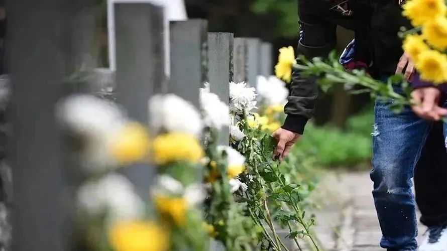 首页-人生就是博