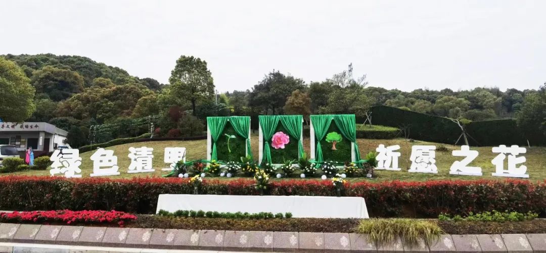 首页-人生就是博