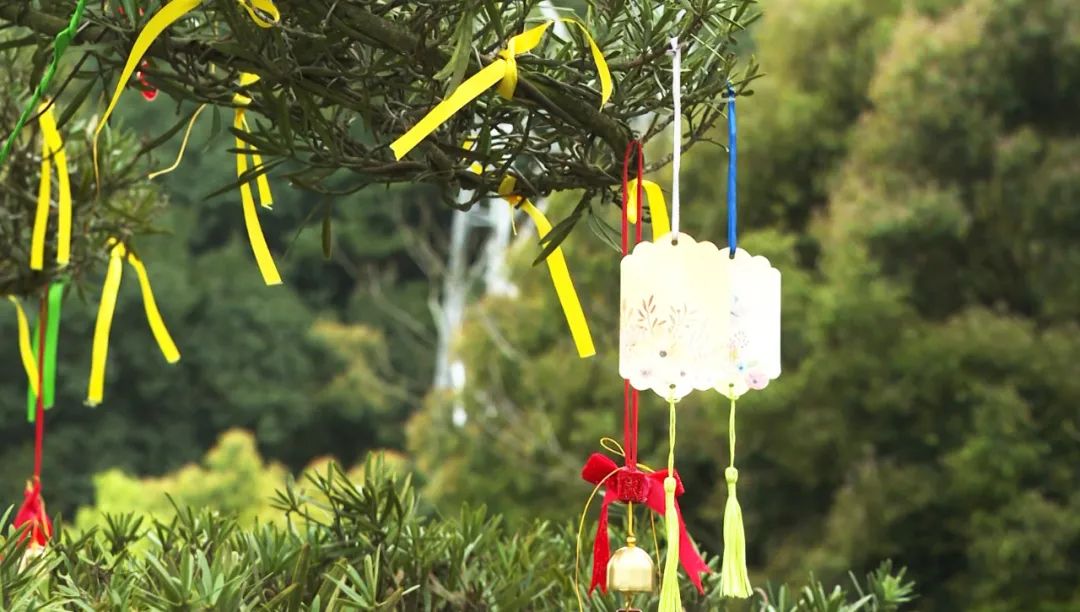 首页-人生就是博