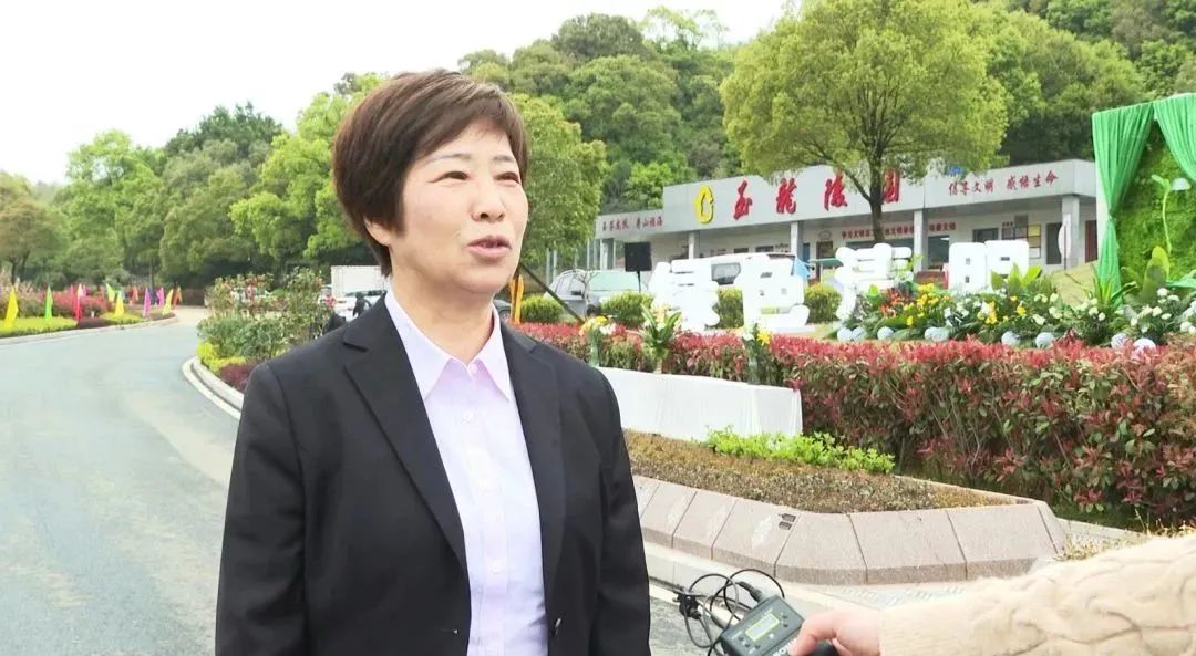 首页-人生就是博