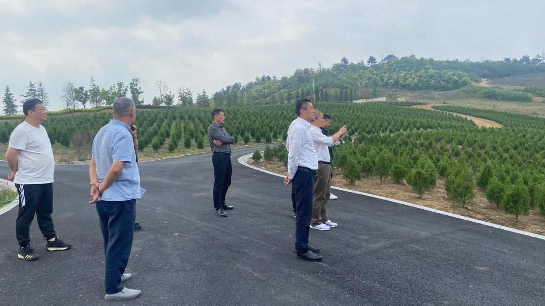 首页-人生就是博