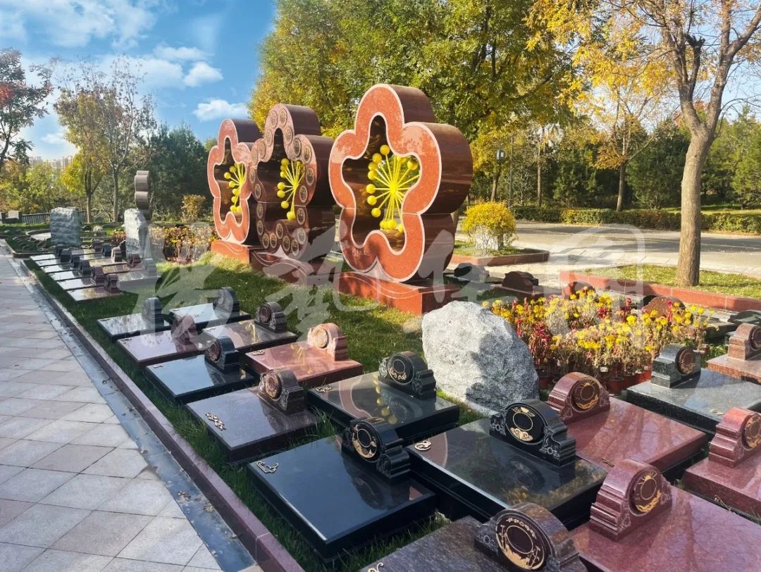 首页-人生就是博