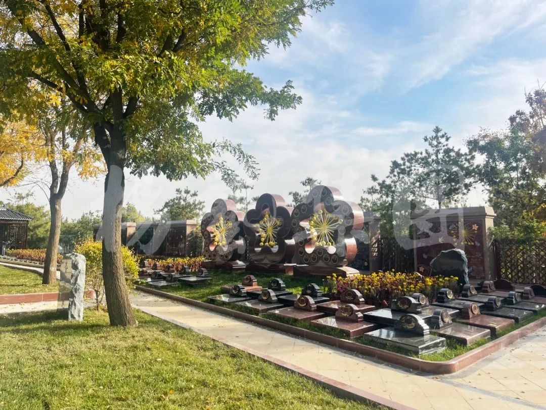 首页-人生就是博