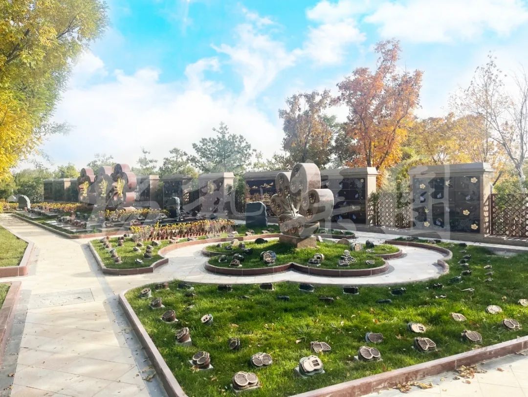 首页-人生就是博