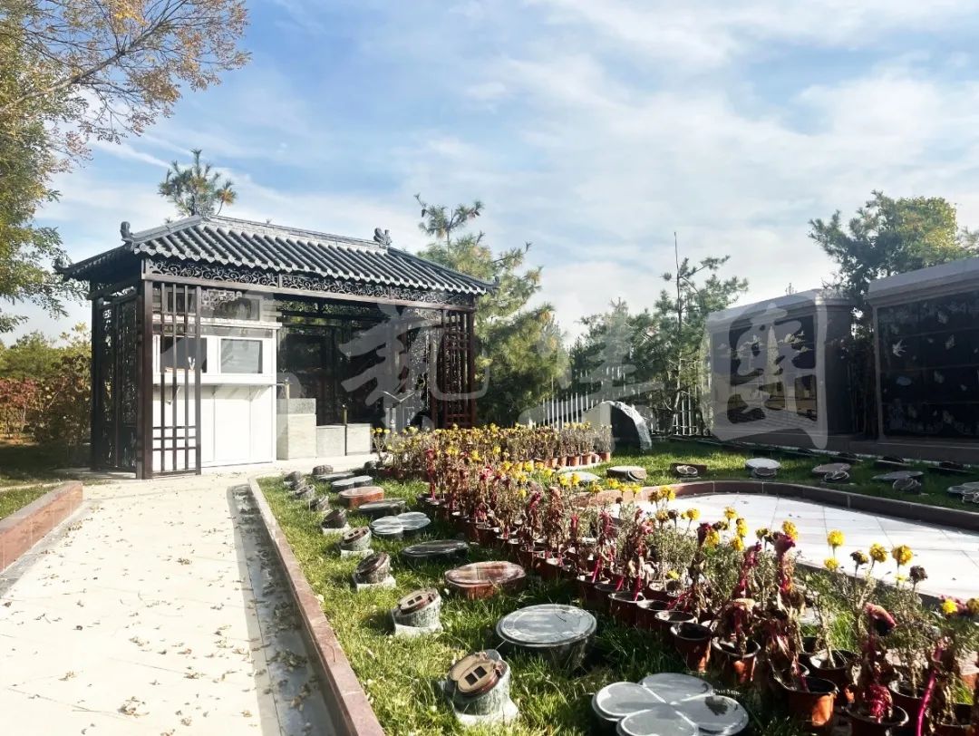 首页-人生就是博