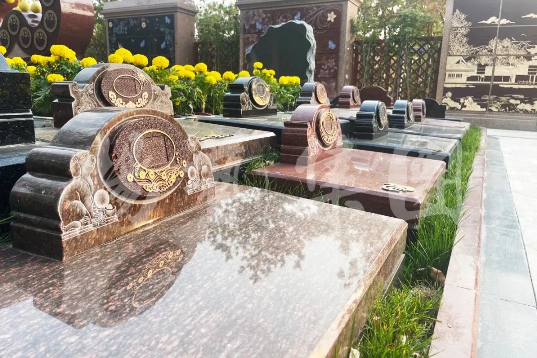 首页-人生就是博