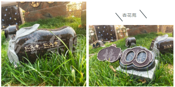 首页-人生就是博