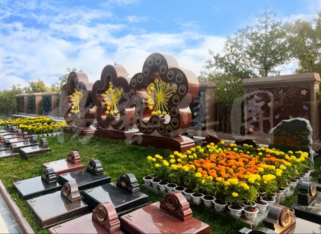 首页-人生就是博