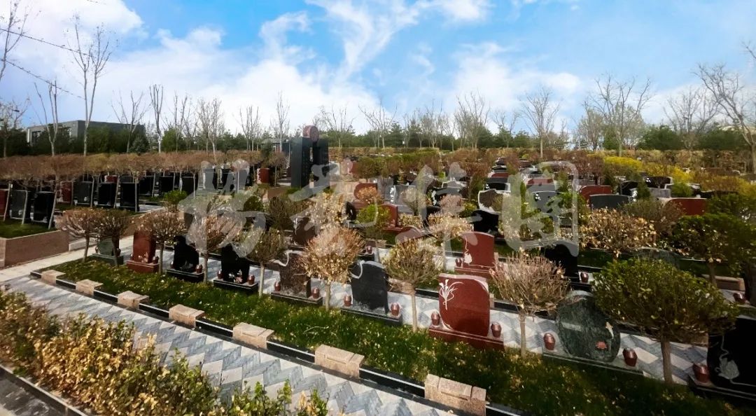 首页-人生就是博