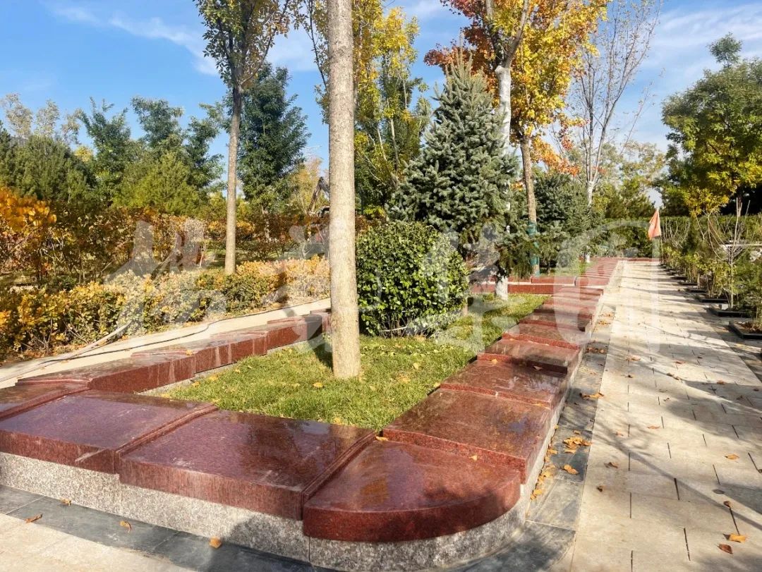 首页-人生就是博