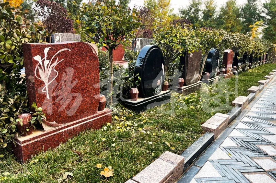 首页-人生就是博