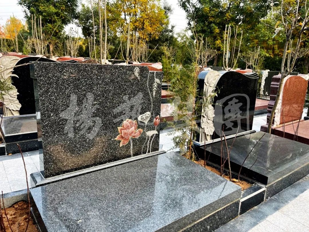 首页-人生就是博