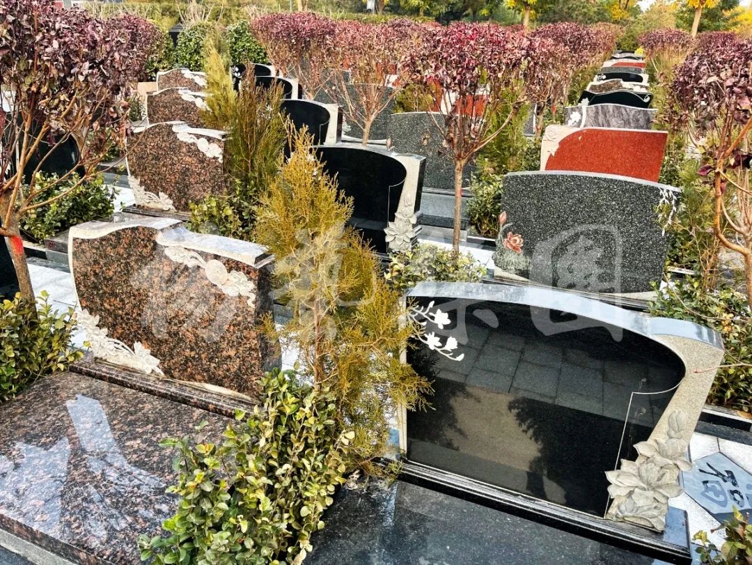 首页-人生就是博