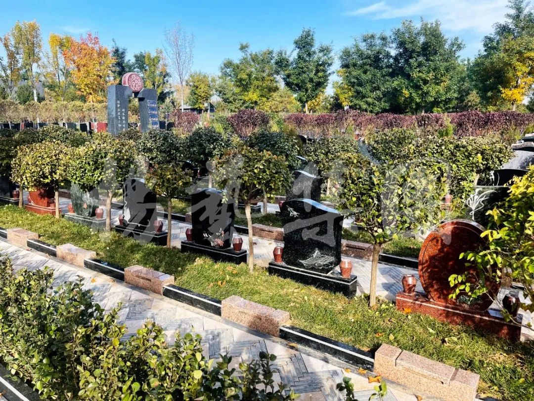 首页-人生就是博