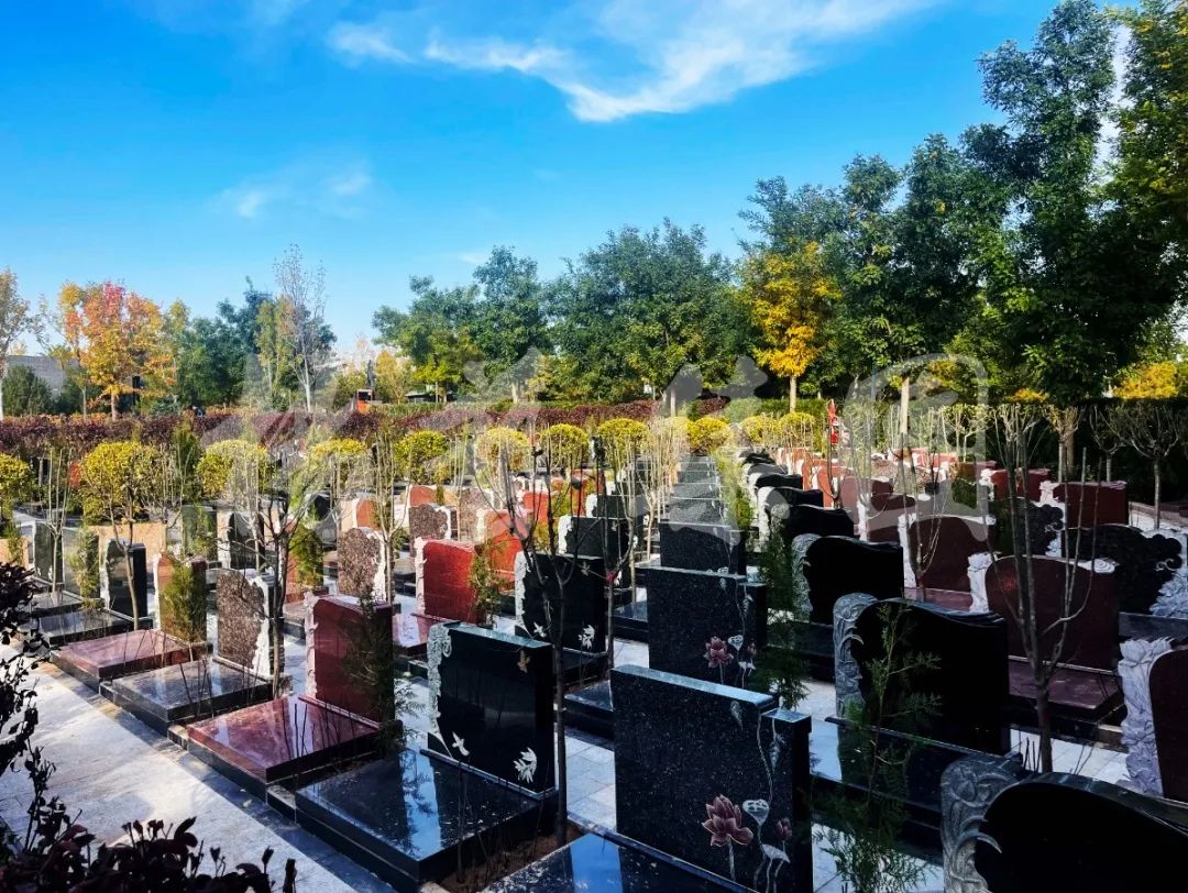 首页-人生就是博