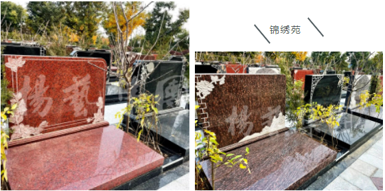 首页-人生就是博