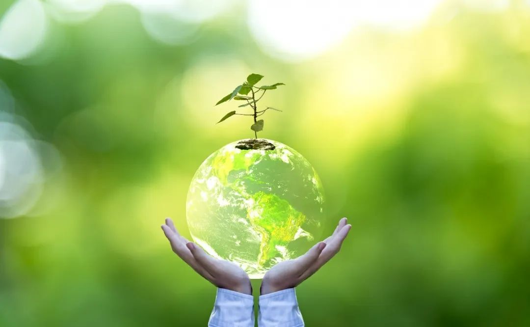 首页-人生就是博