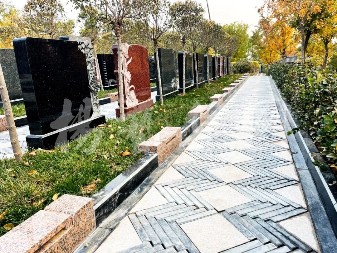 首页-人生就是博