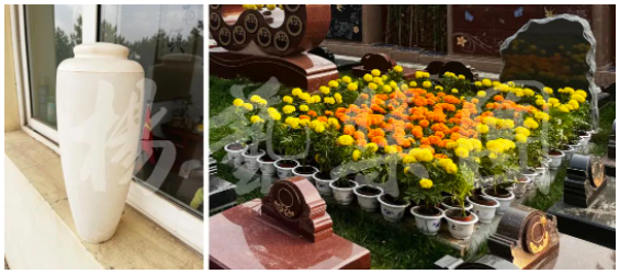 首页-人生就是博