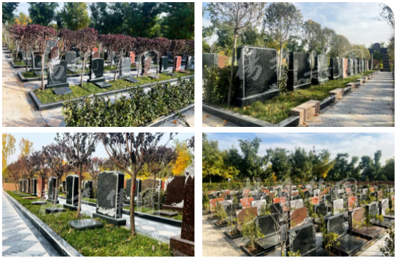 首页-人生就是博