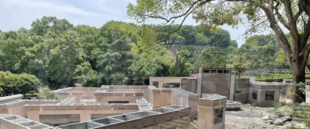 首页-人生就是博