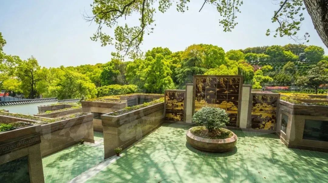 首页-人生就是博