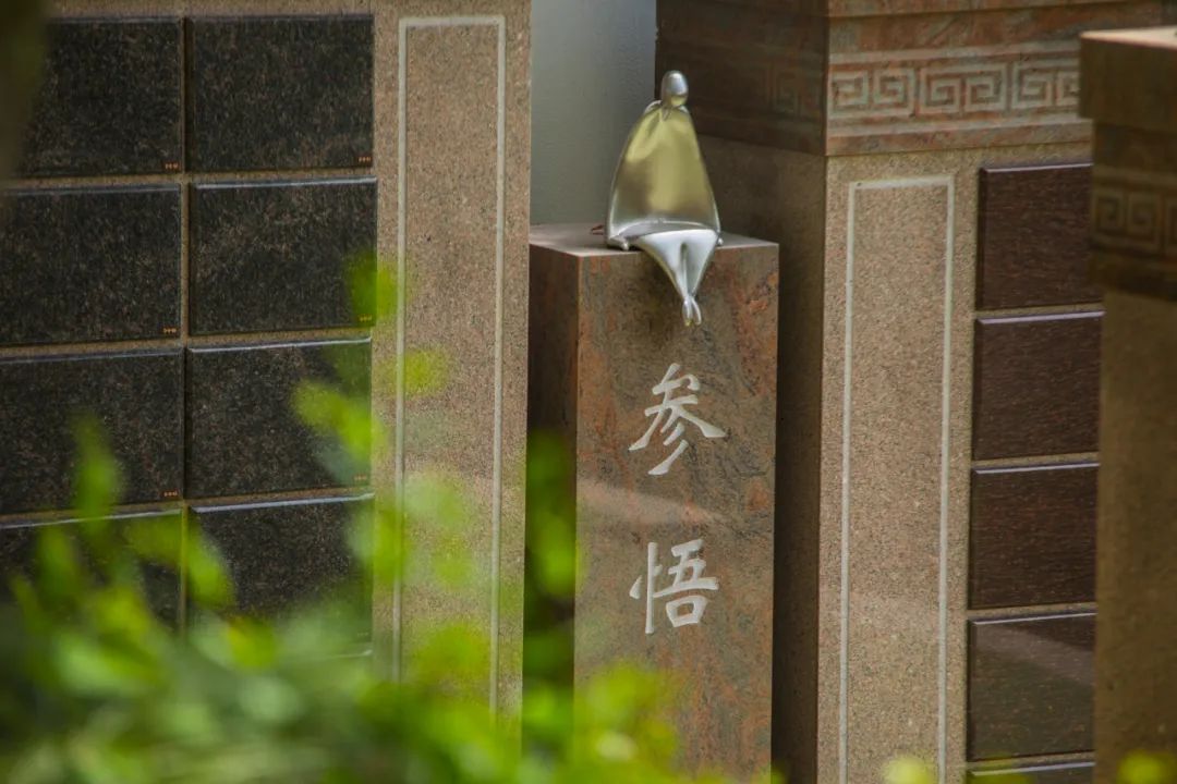 首页-人生就是博