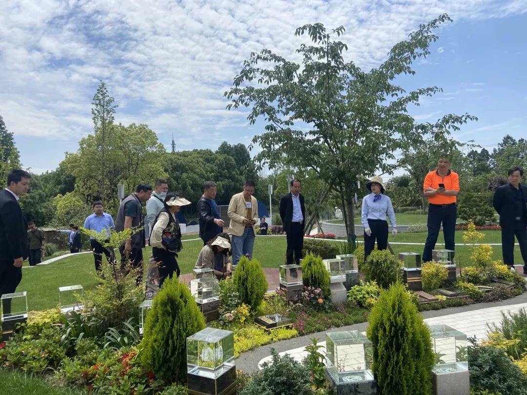 首页-人生就是博