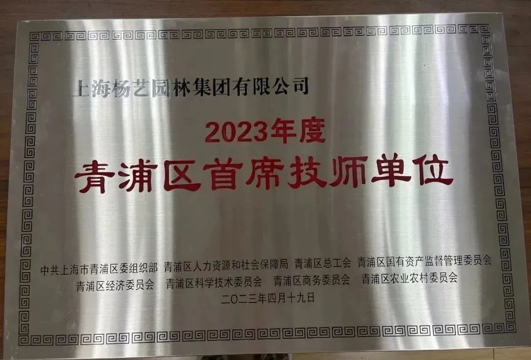 首页-人生就是博