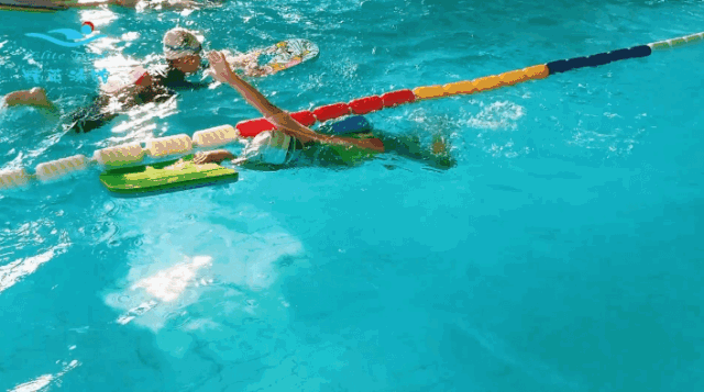 首页-人生就是博