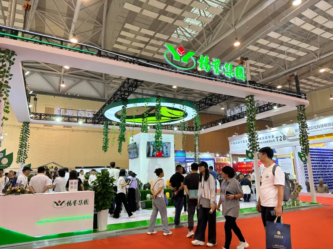 首页-人生就是博