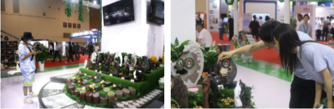 首页-人生就是博