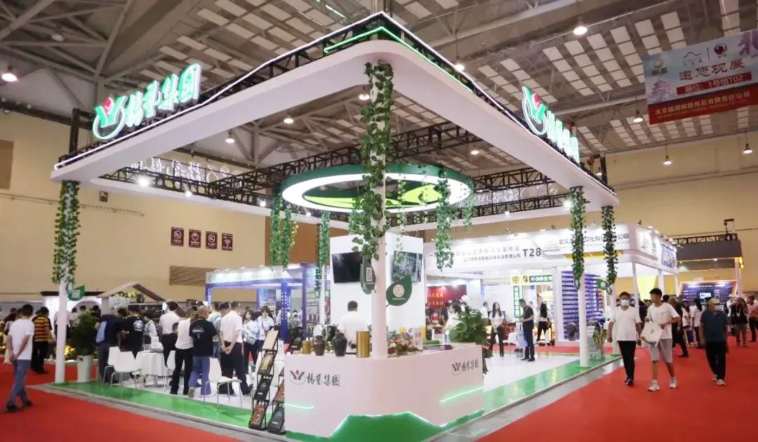 首页-人生就是博