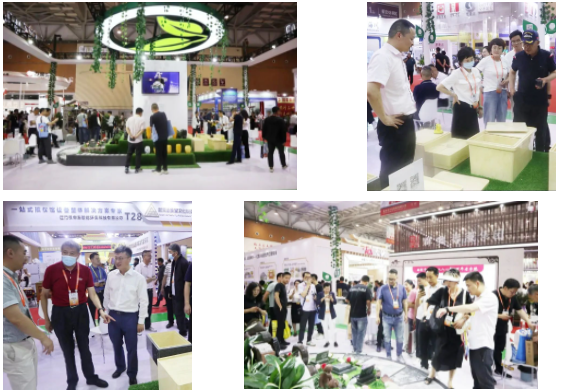 首页-人生就是博