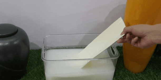 首页-人生就是博