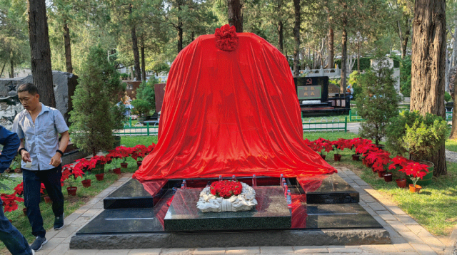 首页-人生就是博