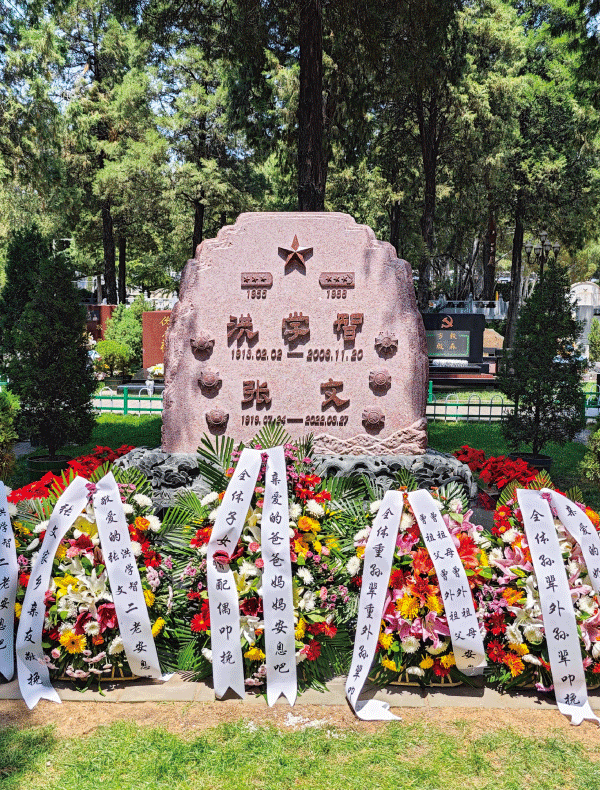 首页-人生就是博