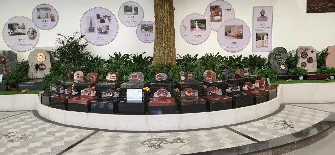 首页-人生就是博