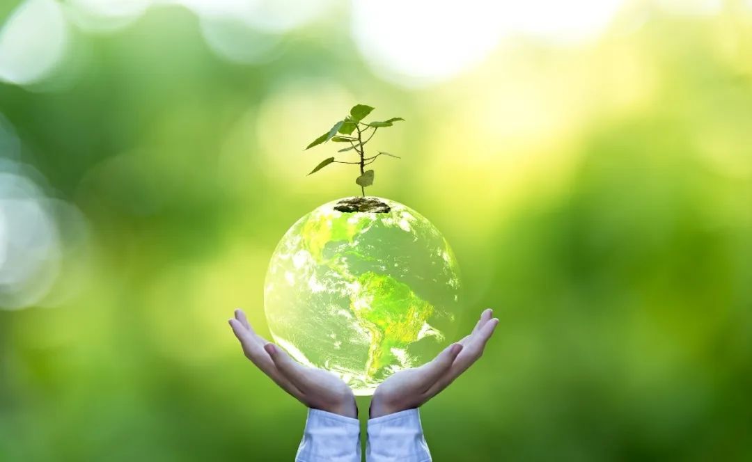 首页-人生就是博