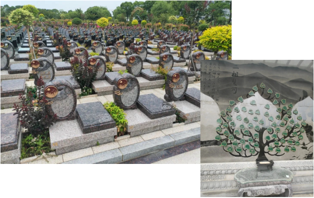 首页-人生就是博