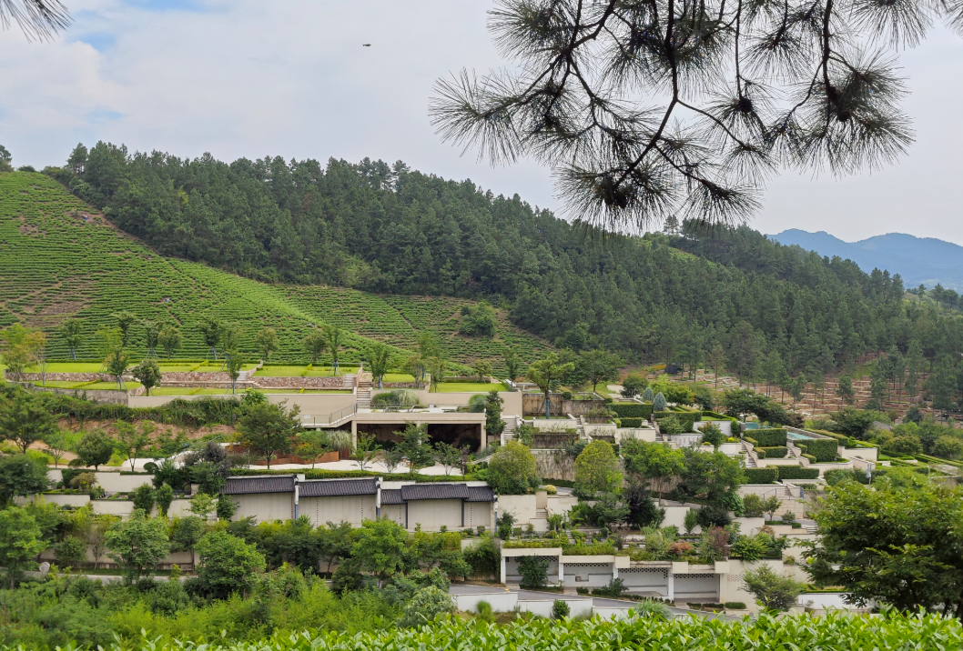 首页-人生就是博