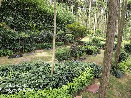 首页-人生就是博