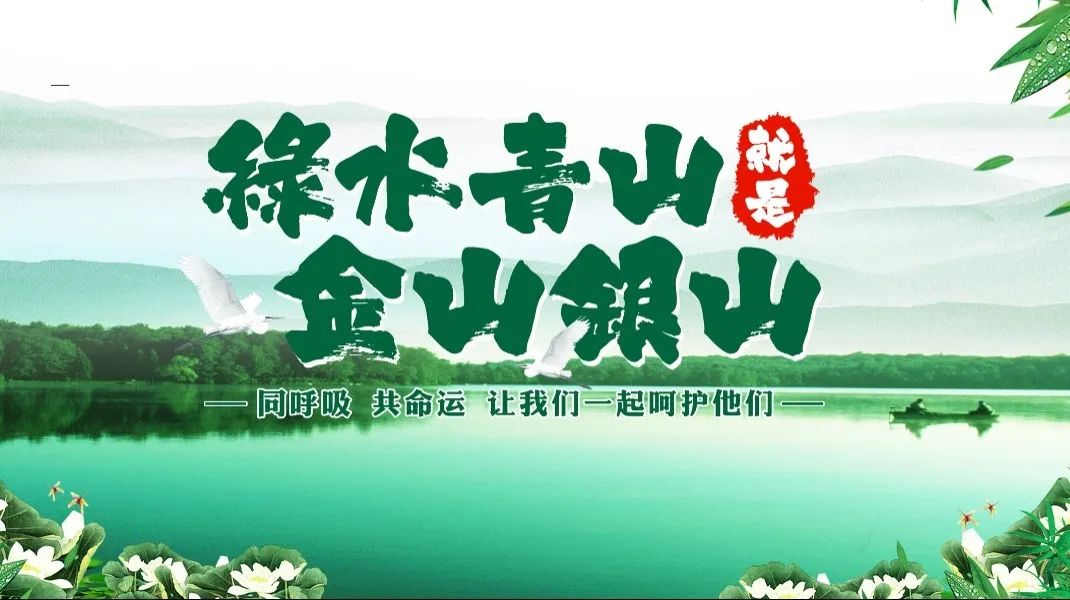 首页-人生就是博