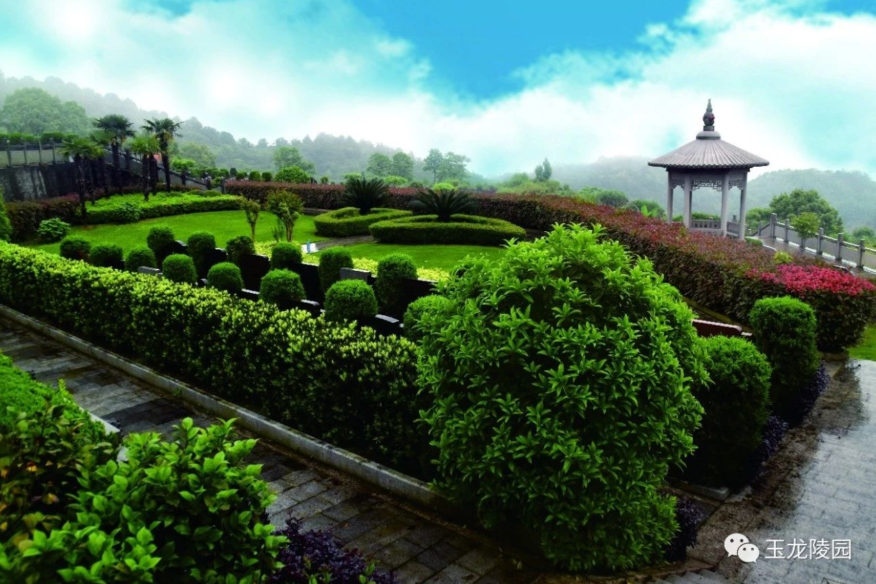 首页-人生就是博