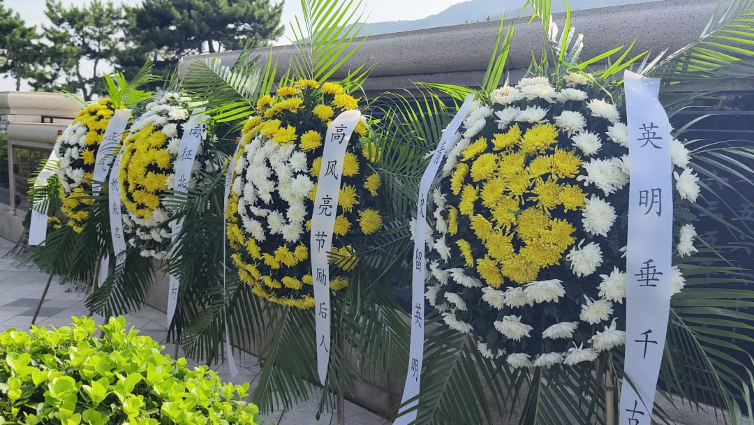 首页-人生就是博