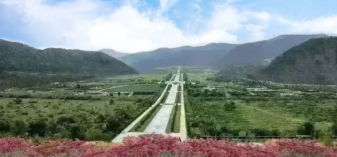 首页-人生就是博