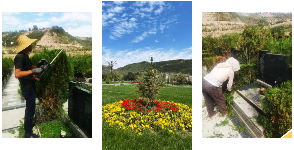 首页-人生就是博