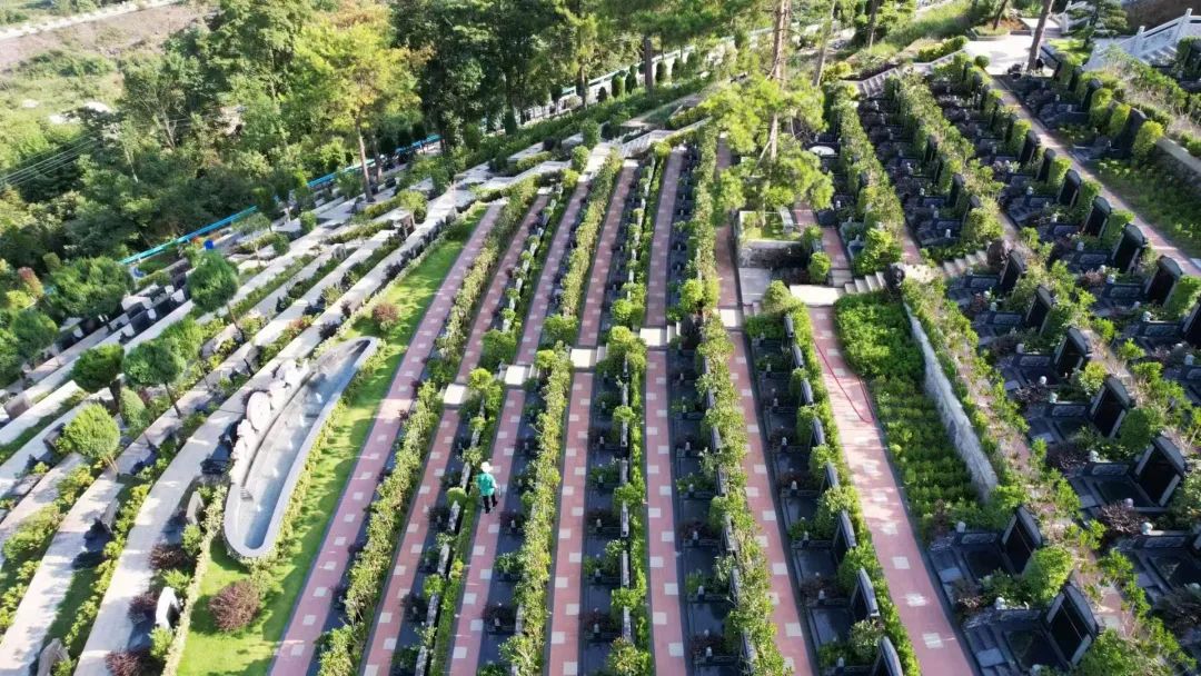 首页-人生就是博